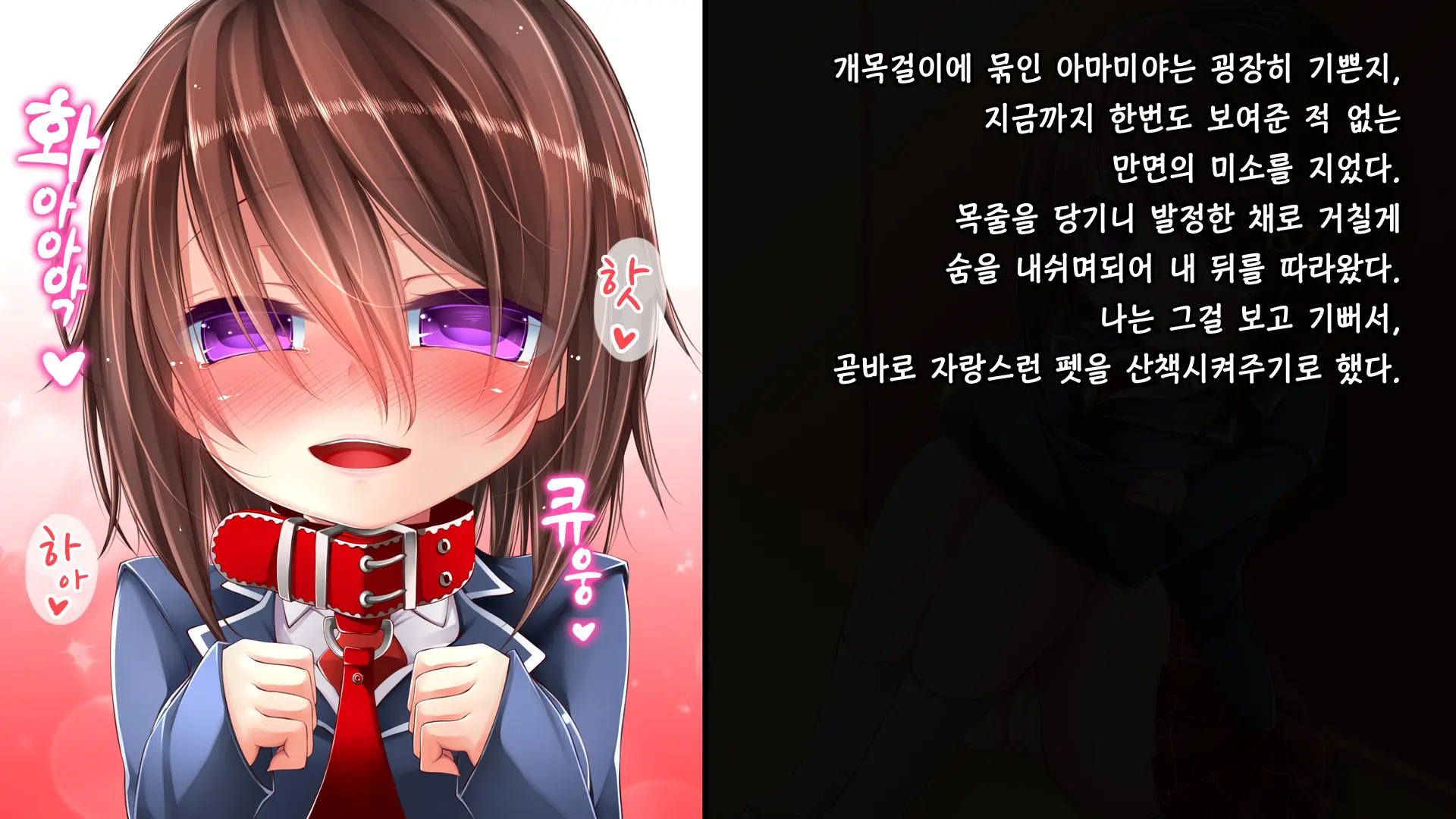 Tadashii Kanojo (Pet) No Kaikata